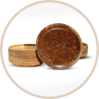 10” Coconut Husk Plate